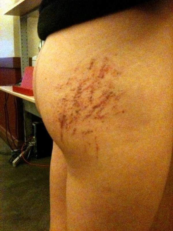 Lily's Ass.JPG