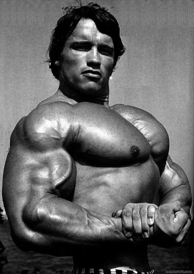 arnold_schwarzenegger.jpg