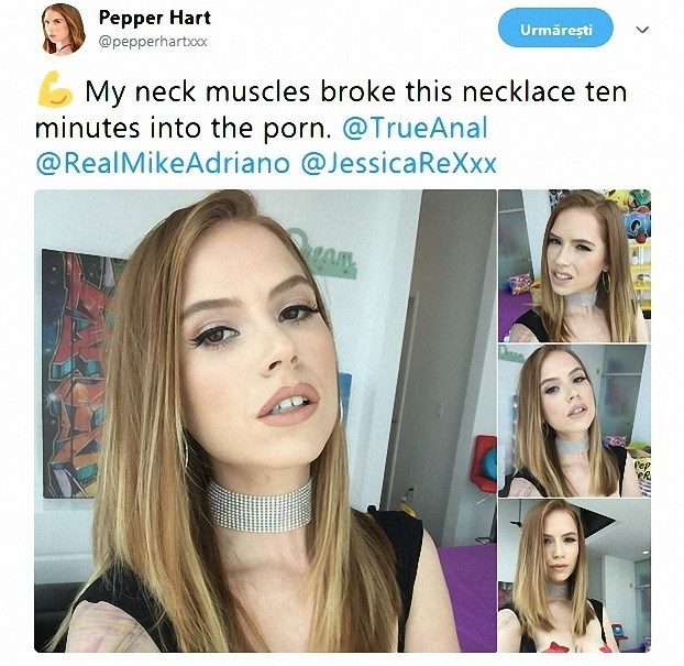 Untitled.jpg