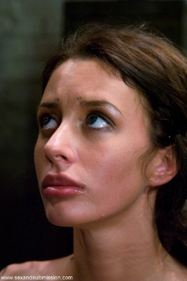 5223_stevemya289.jpg