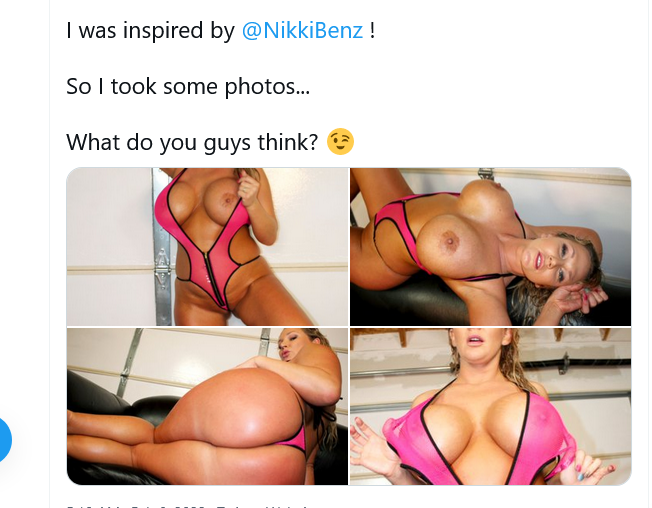 Screenshot 2022-02-08 at 16-37-07 Nikki Sexx on Twitter.png