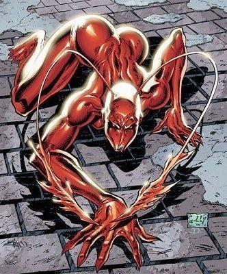 ant2.jpg