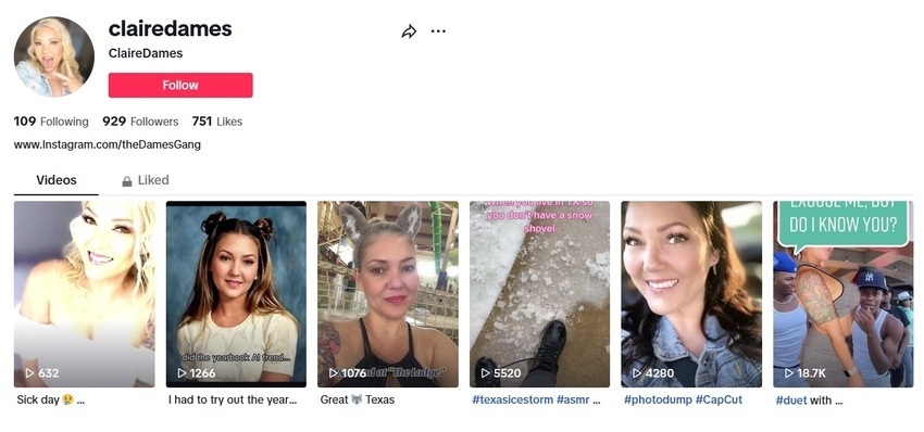 clairedames_tiktok_overview.jpg